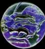 In this view, the image has been produced by a flatbed scanner.